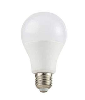 12W Led light Bulb (Ordinary)